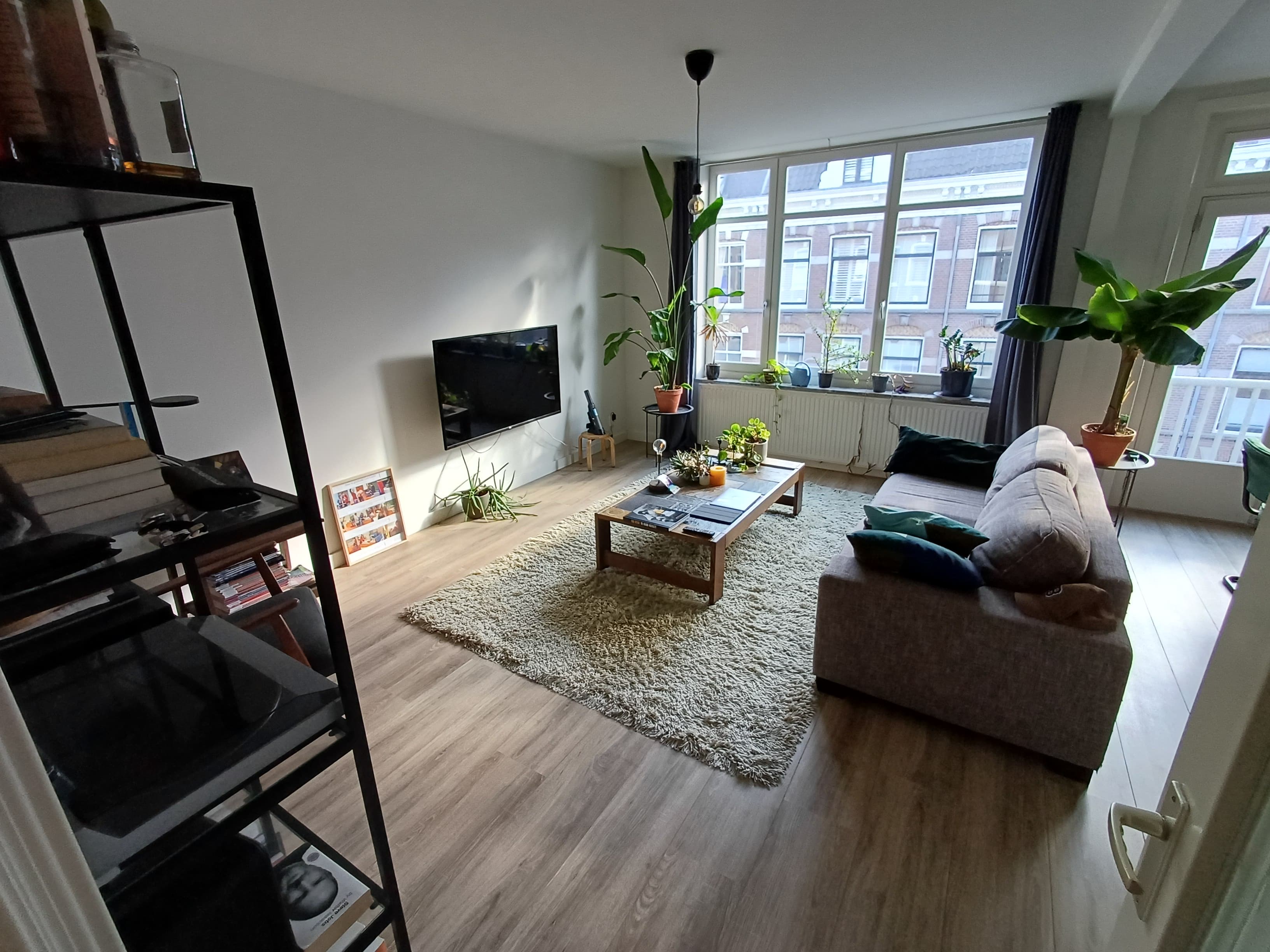 Swammerdamstraat, 1091 RV, Amsterdam